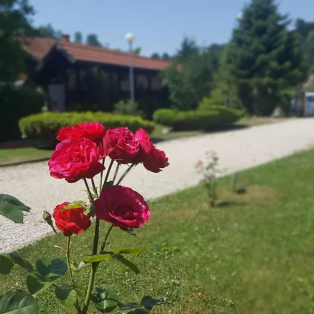 Motel Amer Pier Мотель Добой